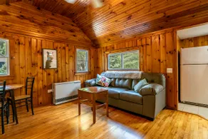 ♥ New! 2.5 mi to Whiteface, ADK Cabin w/ fire pit - Image 4