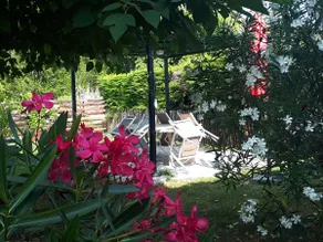 Gîte Domaine de La Gravette - Image 5
