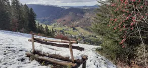 Mountain family hiking sledding zipline - Image 4