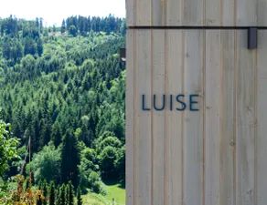 Sauerland Lodge - Haus Luise - Image 2