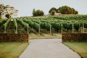 Vintners Rest by Meander Valley Vineyard - Image 2