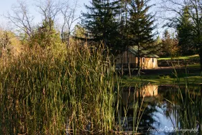 Honeoye Hidden Gem! - Image 3