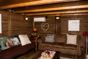 Blue Ridge Mountain Cabin - Image 2