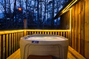 Serene Cabin | 2 King Suites | 5 Minutes to it all - Image 3