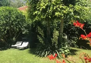Comfortable house - Image 3