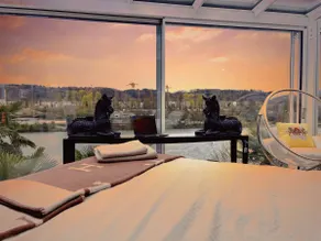 LUXURY on the Rhine / TV location / private access to the Rhine - Image 3