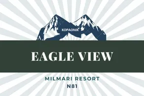 Eagle View Milmari N81 - Image 2