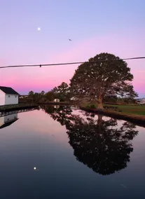 The Lucky Hook, Hyde Co, Waterfront, Pet & Family Friendly w/kayaks, Fireplace   - Image 2