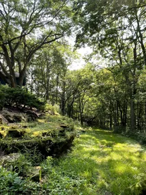 Spacious Hillside Home Overlooking Private Woods  - Image 3