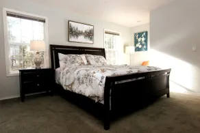 Dog/kids friendly Stylish Artist's Home/EV charger - Image 5