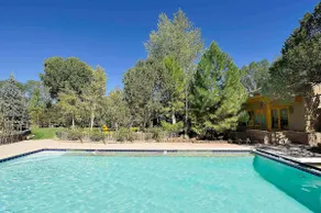 Green Acres Luxury Estate on 4 Acres 8m to Plaza! - Image 5