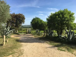 L'Oasis - Image 4