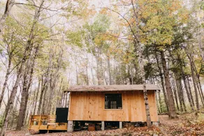 Writers Cabin in the Woods with Sauna! - Image 4