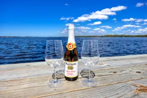 Lakefront home near beaches with waterview, pets ok - Image 3