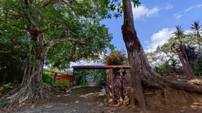 Casa Pura Vida! - Image 2