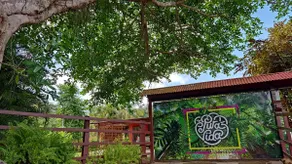 Casa Pura Vida! - Image 3