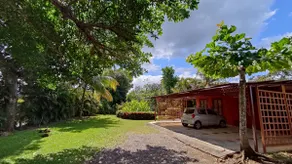 Casa Pura Vida! - Image 5