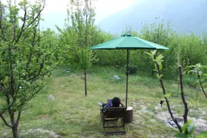 Applewoods – Abode in nature's lap in Naggar, Manali - Image 5