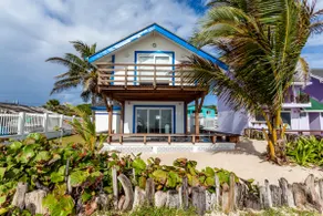 THE PALM BEACH HOUSE - Image 2