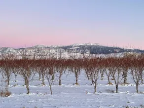A Cozy Orchard Retreat - Image 4