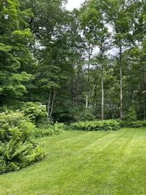 Country Cottage Getaway with Yoga Studio - Image 4