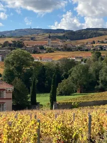 Gîte de la Vieille Vigne (Old Vine Cottage) - Image 2