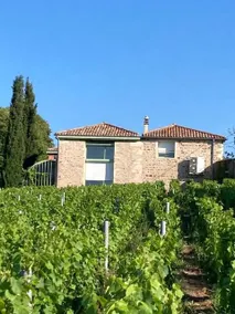 Gîte de la Vieille Vigne (Old Vine Cottage) - Image 4