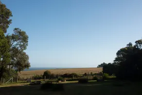 Winki Inn - Image 3