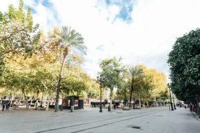 Alohamundi Zaragoza - Image 5