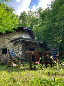 Cottage in the woods - Image 2