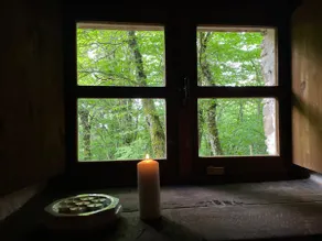 Cottage in the woods - Image 3