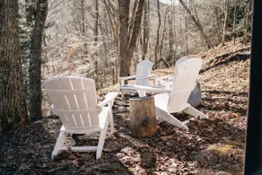 Serene & Cozy - Peaceful View - Fireplace - Creek - Image 3