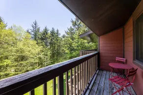 PET FRIENDLY 2br/2ba Tree Top -walk to ski/village - Image 5