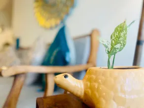 Manmohana: Our 1 or 2 BHK Divine Krishna abode - Image 3