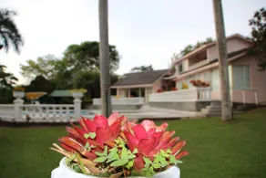 Finca Las Mercedes! Maid service included! - Image 4