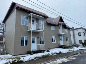 Renovated downtown condo - Image 5