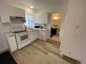 Renovated downtown condo - Image 4