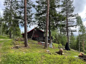 Sunny Harebu in hiking/skiing paradise - Image 2
