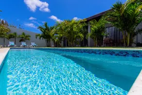NEW - AmazingStudio Close 2 Palm & Eagle Beach - Image 2