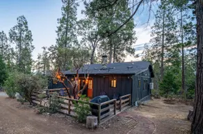 Tranquil Cabin in the Woods - Multi-day discount - Image 2