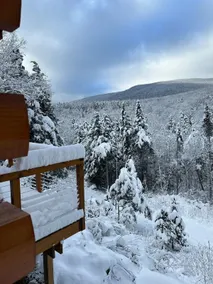 Mountain Time Cabin,Spectacular Views! Secluded! - Image 4