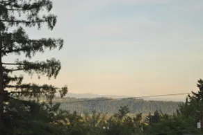 Spacious 4 bedroom home in the heart of camas! - Image 3