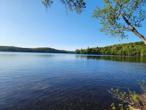 Luxury Waterfront Cottage on Little Doe Lake - Image 3