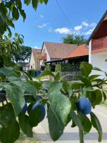 The Romeo & Juliet Cottage - Image 3
