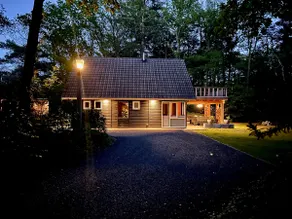 Luxury forest villa for rent for relaxation & sports - Image 2