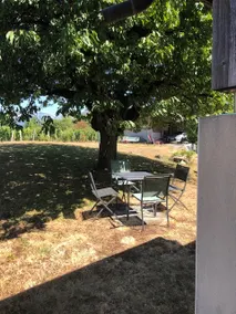Lucie's wine press among the vines - Image 5