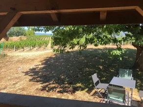Lucie's wine press among the vines - Image 4