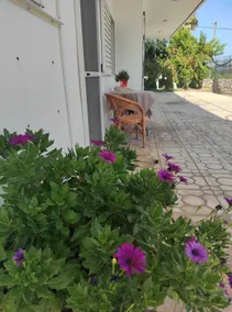 Thanos House - Pleasant house in the countryside - Image 3