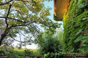 Gemütliches und ruhiges Haus in Majadahonda, nur 19 km von Madrid entfernt - Image 4
