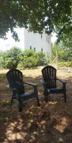 Apartment on the Farm - Image 4